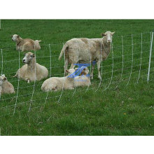 Animal Feeding Grassland Guard Railing Fence